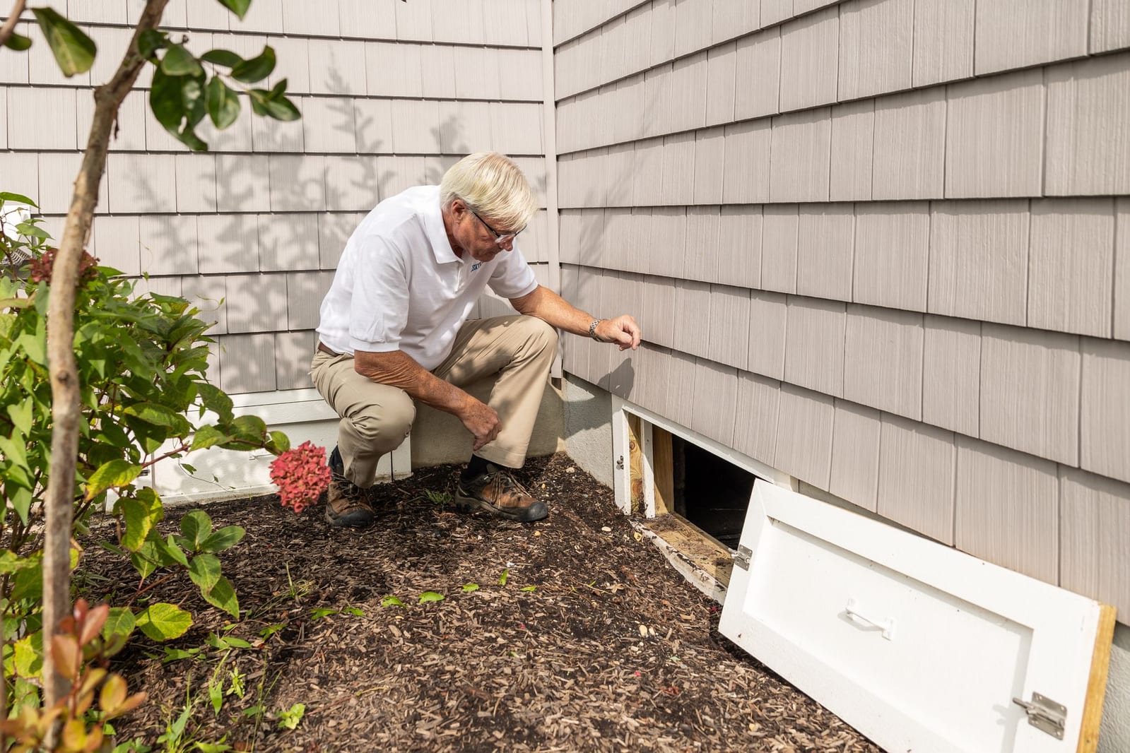 Building Inspection